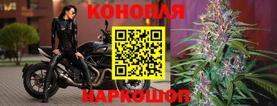 прущая мука Кингисепп