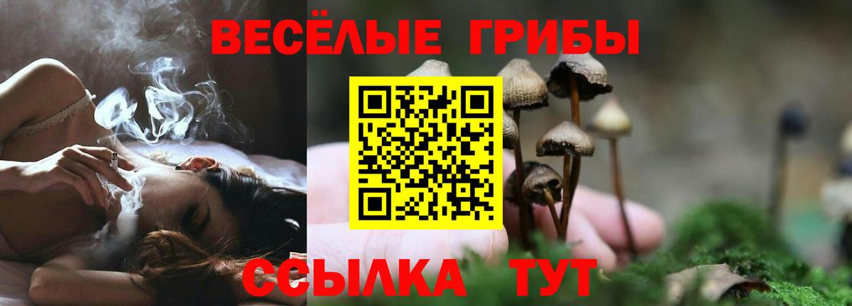 Псилоцибиновые грибы Cubensis  Вход с VPN  Кудымкар 